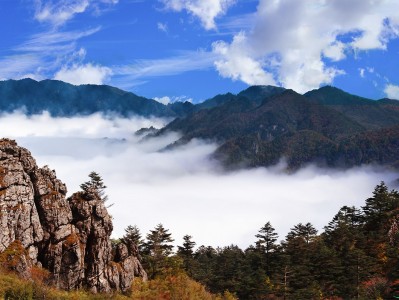 郑州神农架：秘境之旅，云海奇观，草原牧歌，探寻世外桃源